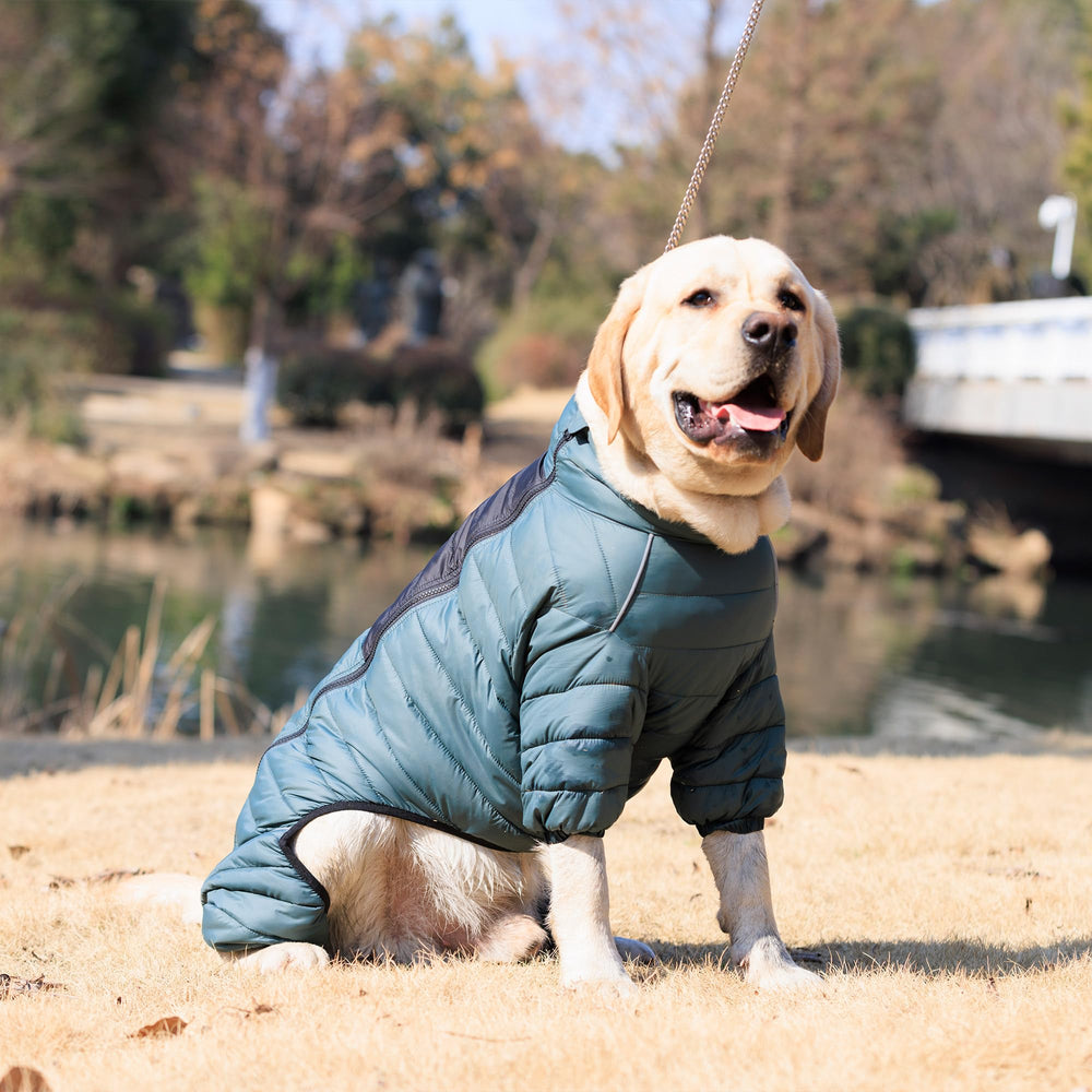 Lovelonglong ArmyGreen Dog Warm Coat reflective details for safe evening walks