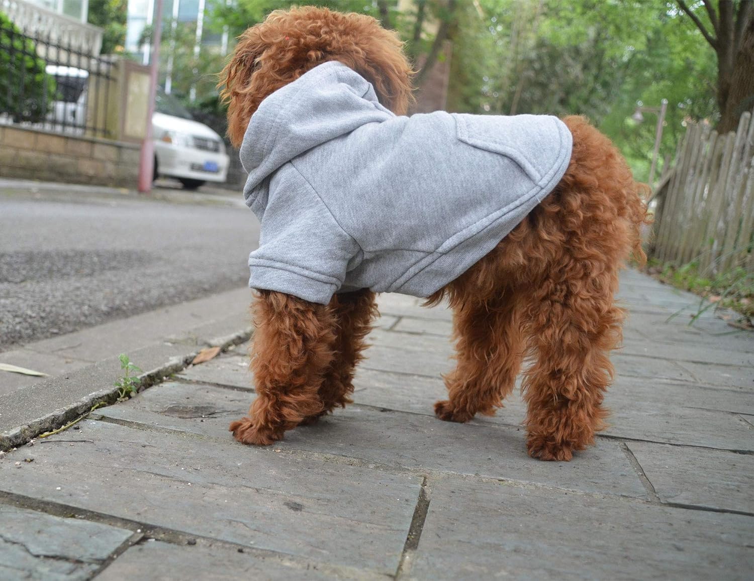 Lovelonglong hoodie gray worn during outdoor walks for warmth.
