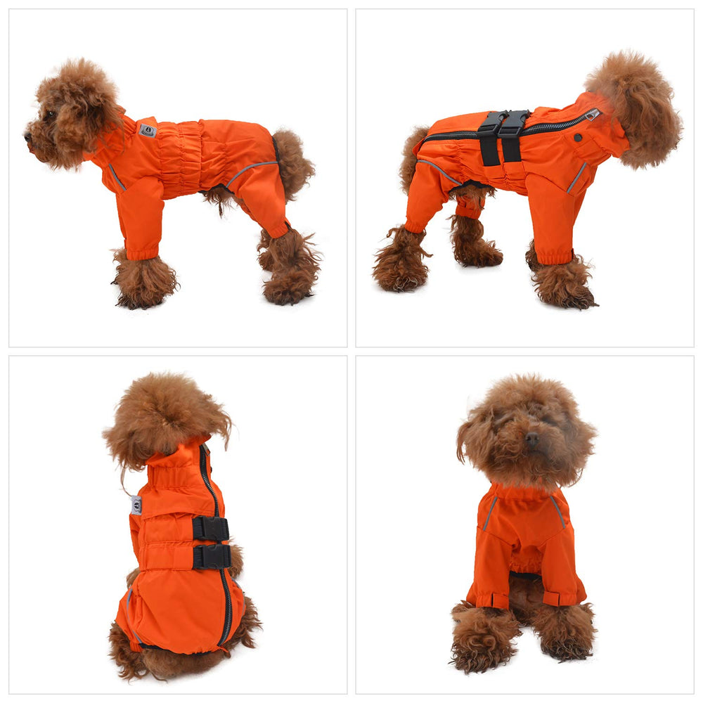 Lovelonglong dog jacket orange on-dog walk demonstrates all-weather practicality.