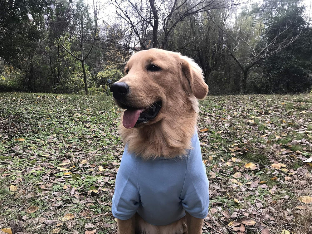 Lovelonglong dog pullover skyblue color shows coordinated winter look.