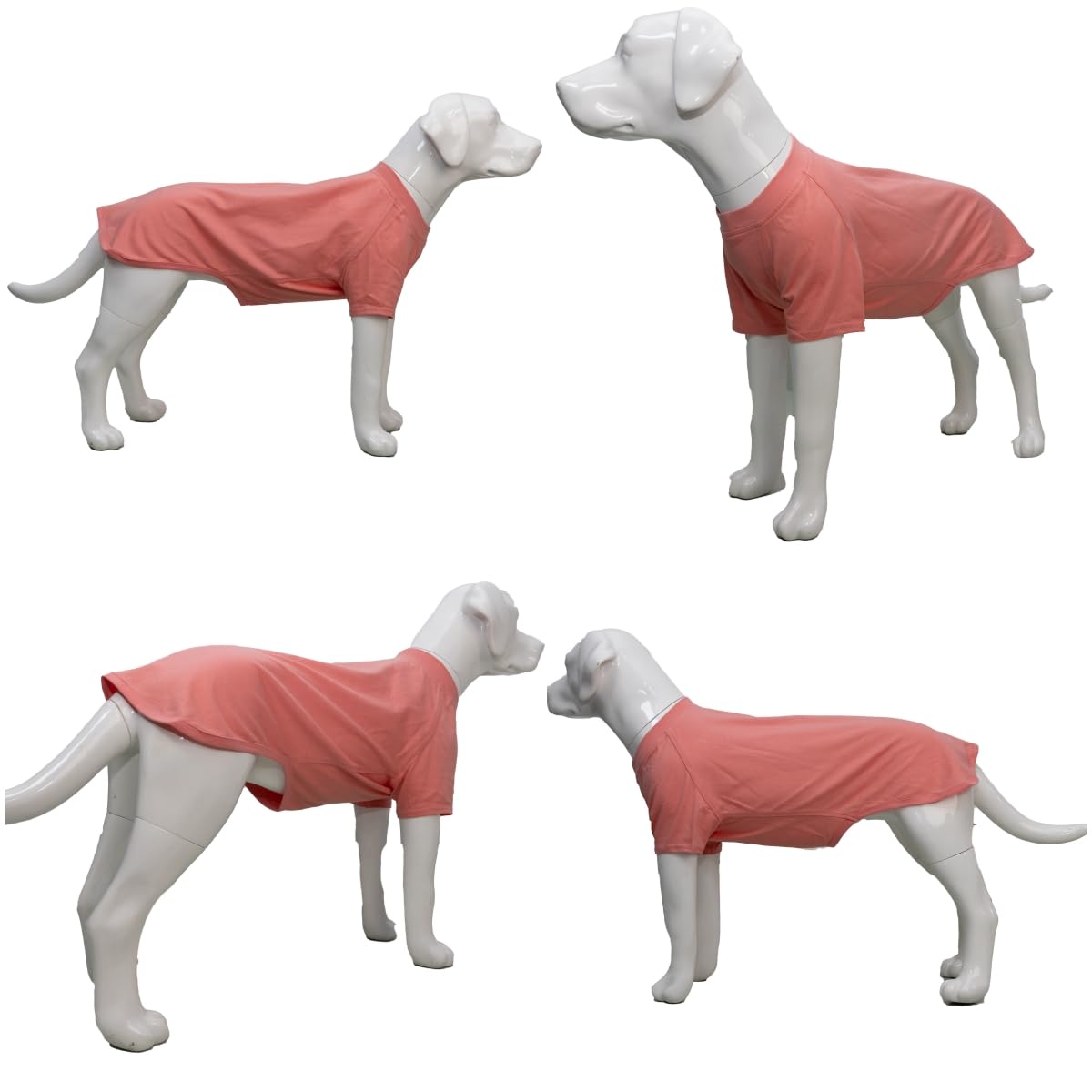 Lovelonglong dog-tshirt color-varieties-18-colors displays vibrant options for pets