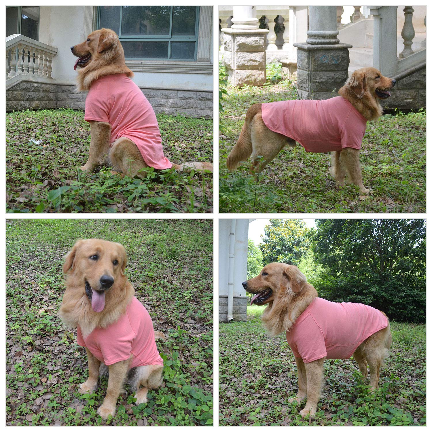 Lovelonglong dog-tshirt easy-wash closeup highlights simple cleaning care