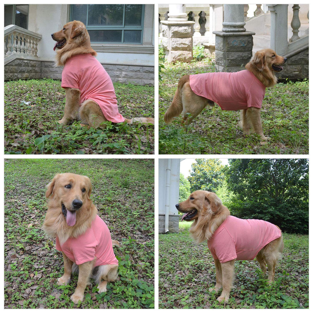 Lovelonglong dog-tshirt easy-wash closeup highlights simple cleaning care