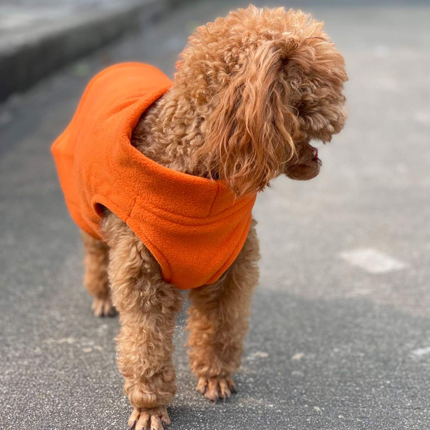 Lovelonglong dog winter vest color options make cold-day outings standout