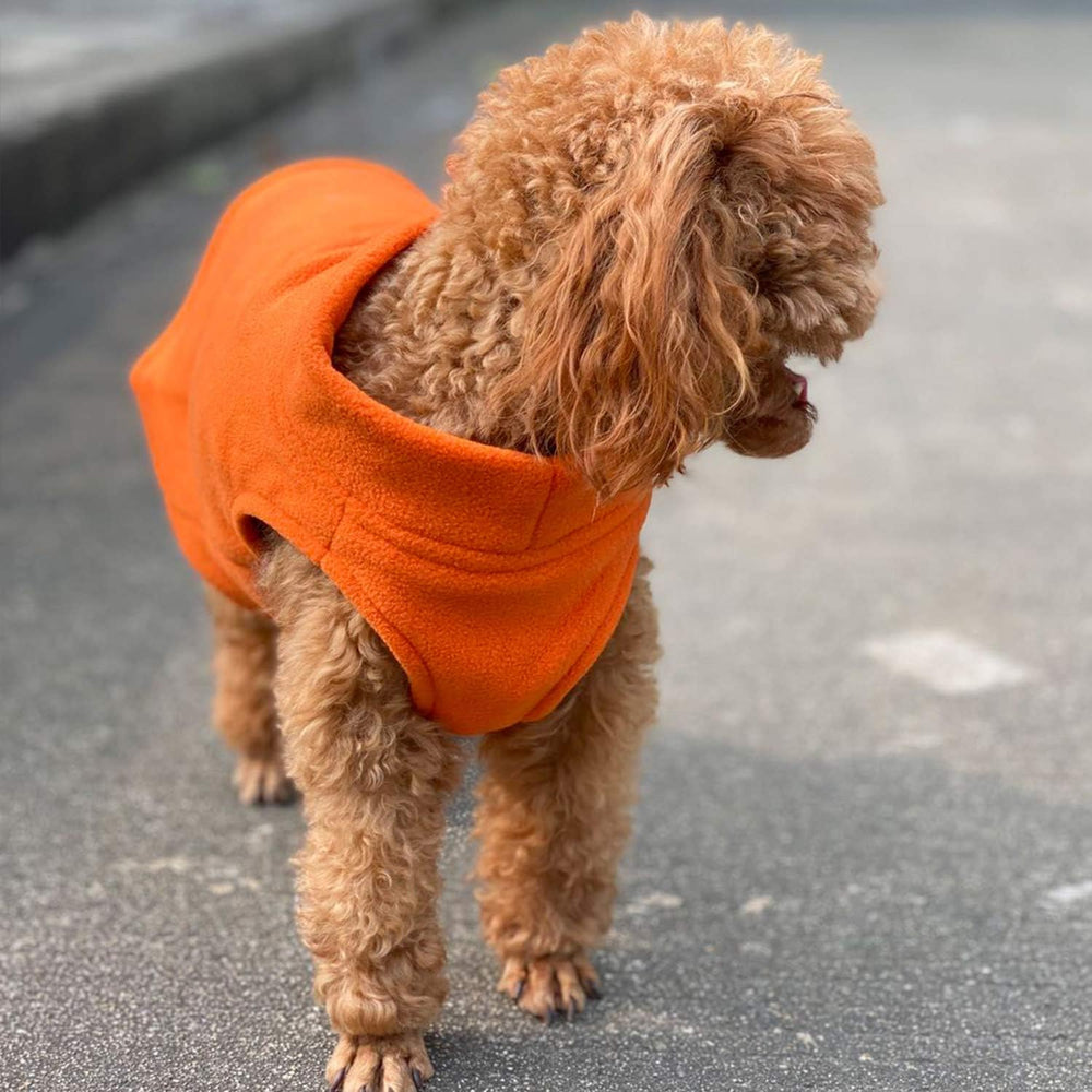 Lovelonglong dog winter vest color options make cold-day outings standout