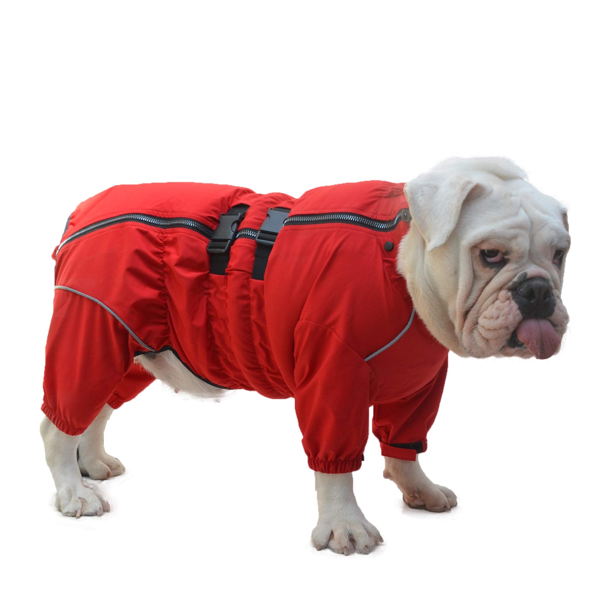 Lovelonglong pug-bulldog fit jacket designed for short-legged sturdy dogs