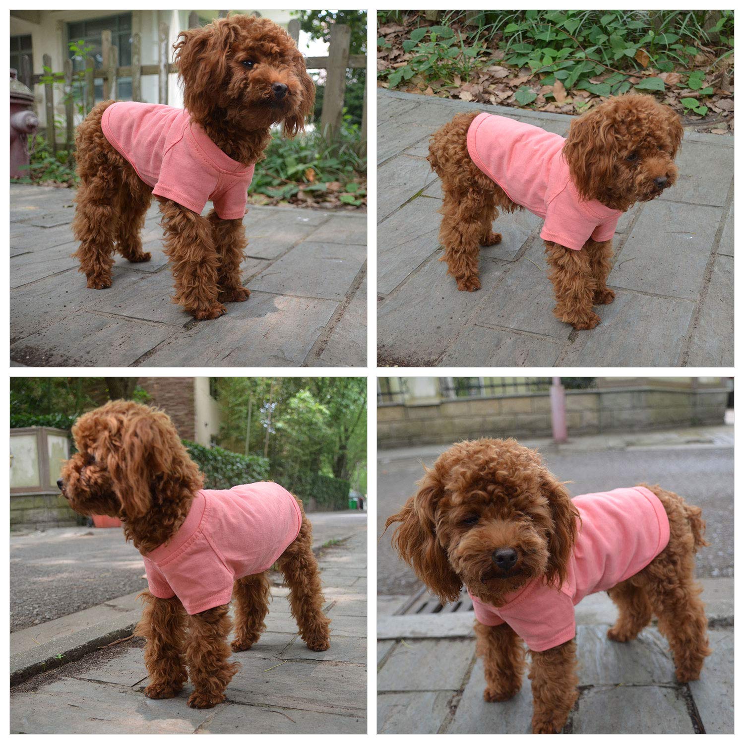 Lovelonglong medium-large-dog-fit-tshirt demonstrates size range for bigger breeds