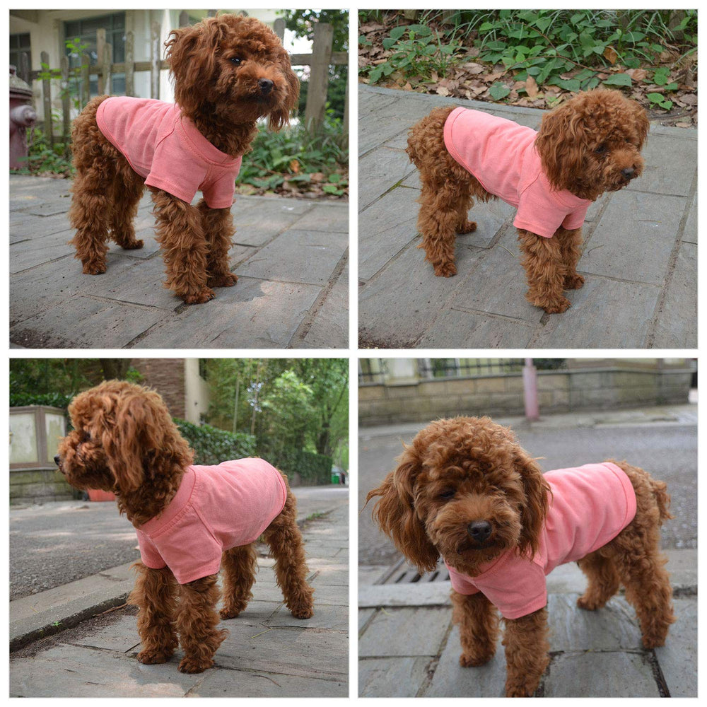Lovelonglong medium-large-dog-fit-tshirt demonstrates size range for bigger breeds