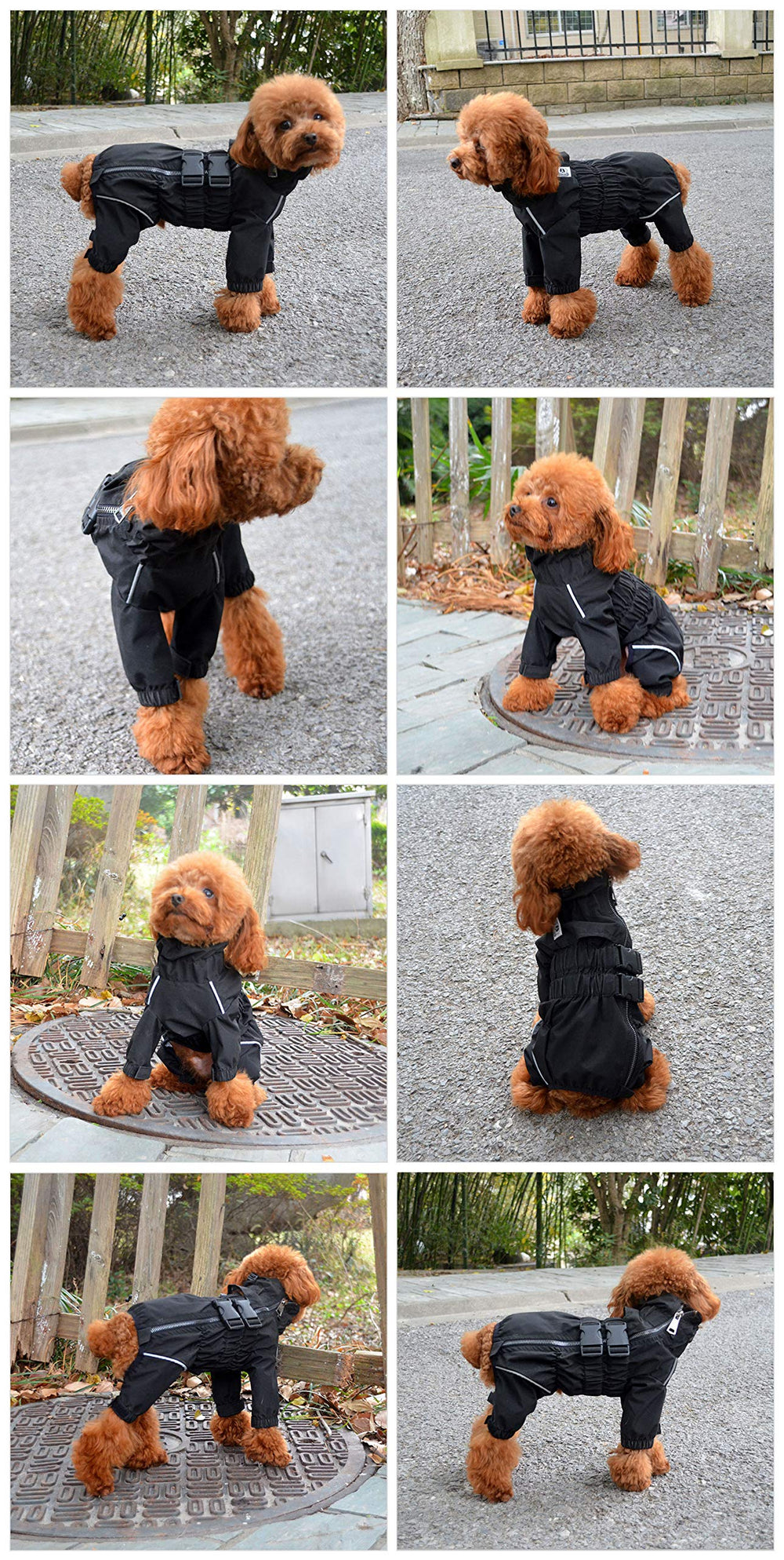 Lovelonglong chaqueta ligera para perro, ideal para días lluviosos y paseos.