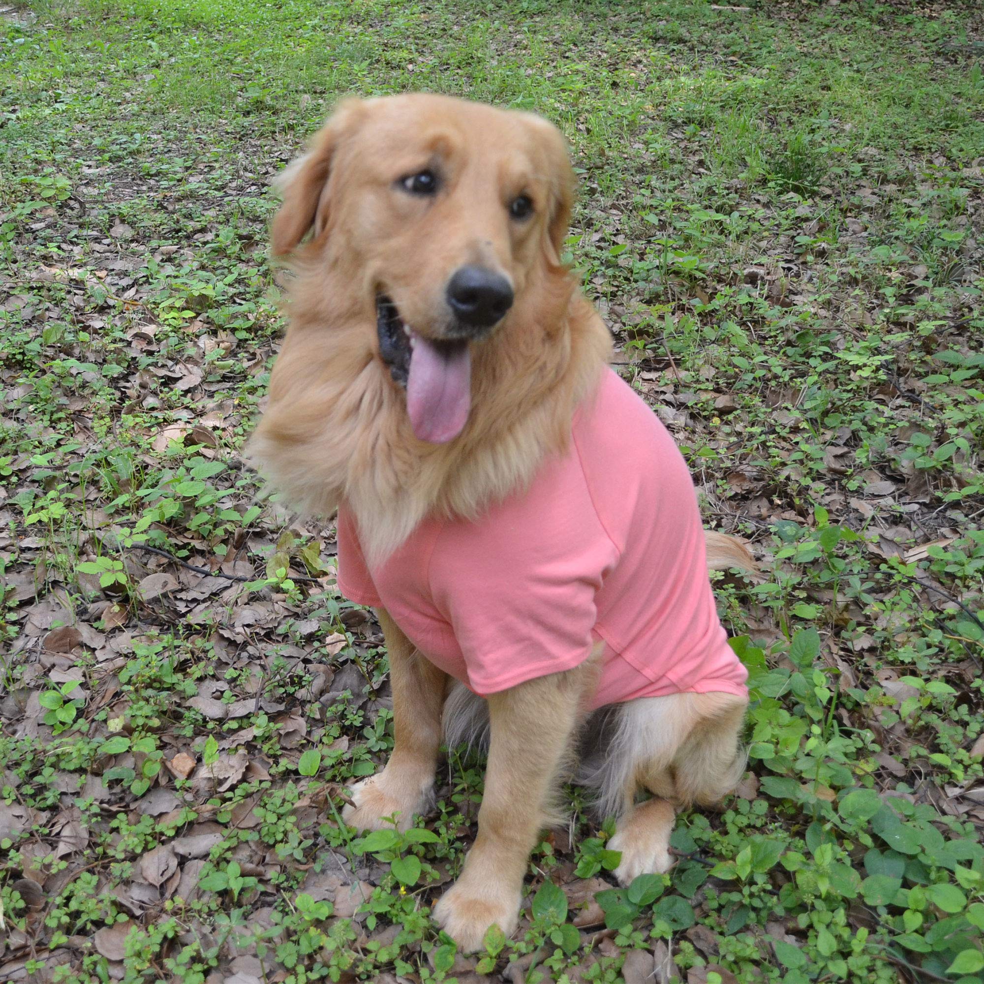 Lovelonglong soft-cotton-dog-tshirt fabric emphasizes skin-friendly comfort