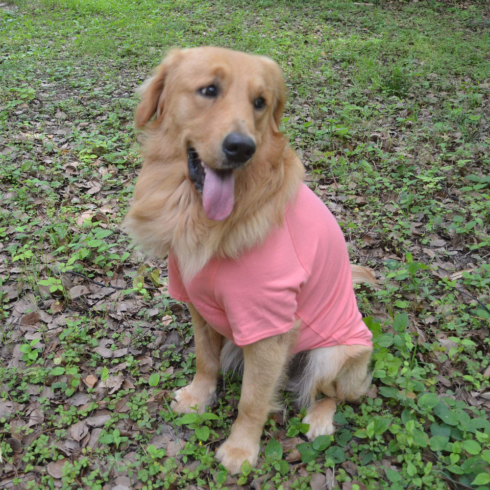 Lovelonglong soft-cotton-dog-tshirt fabric emphasizes skin-friendly comfort