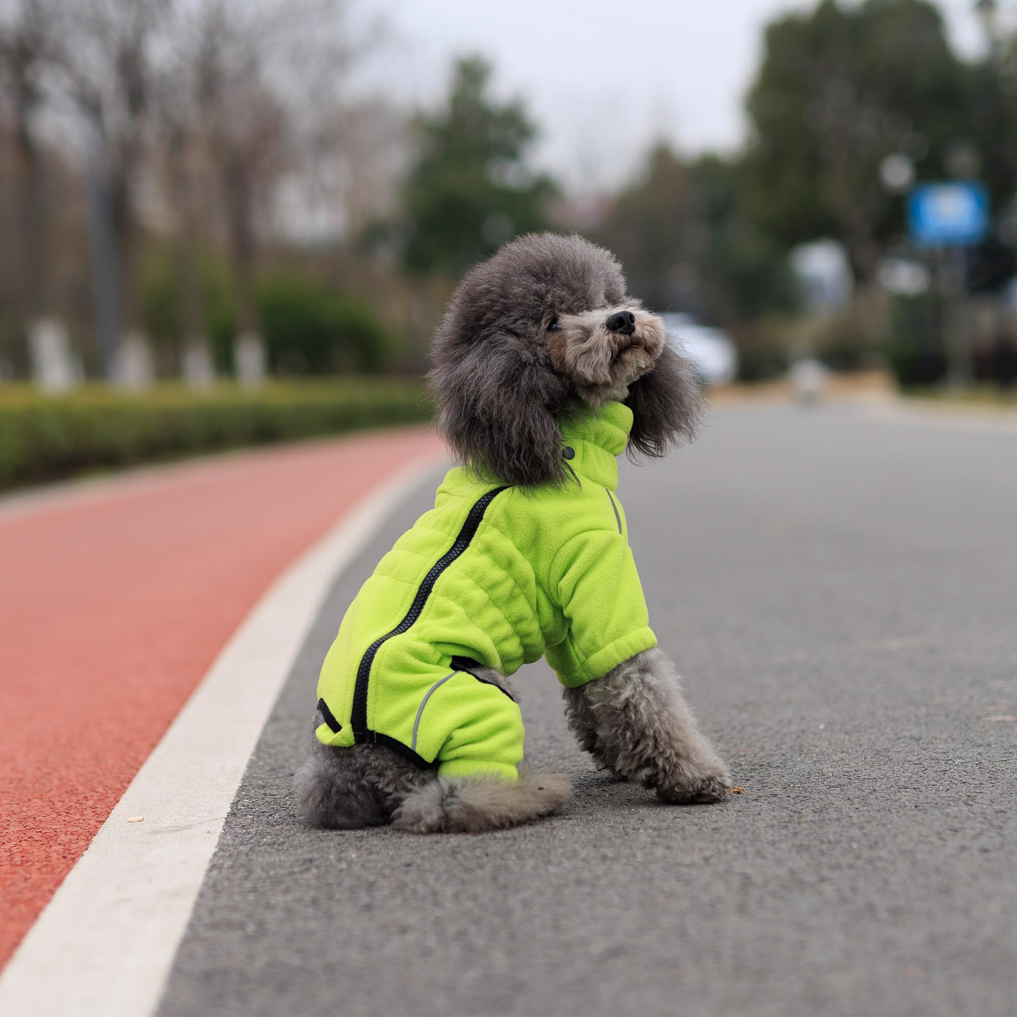 Lovelonglong Warm Dog Coat green color option demonstrates style for outdoor adventures