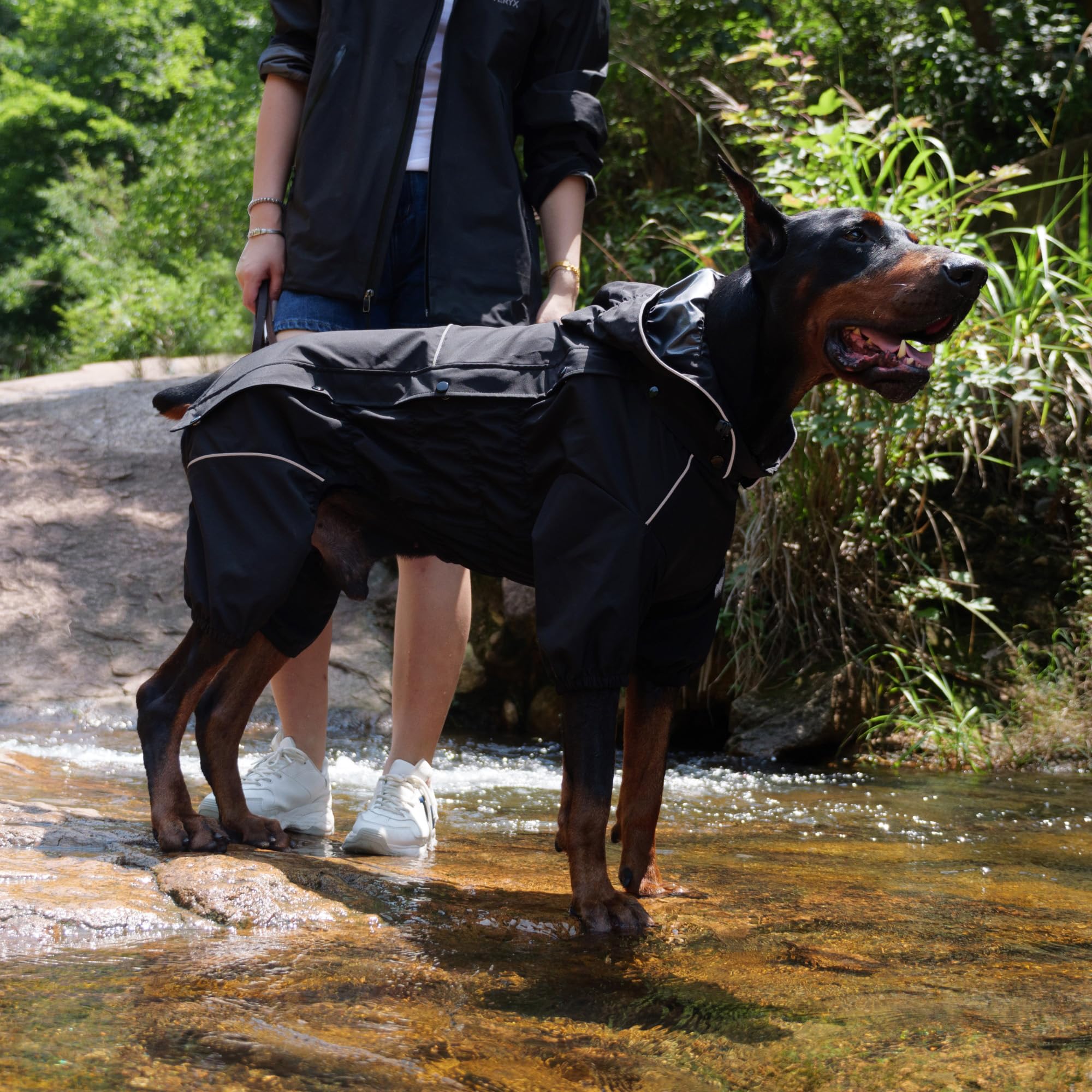 Lovelonglong windproof snowproof gear shown on dog during snowy walk.