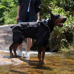 Lovelonglong windproof snowproof gear shown on dog during snowy walk.