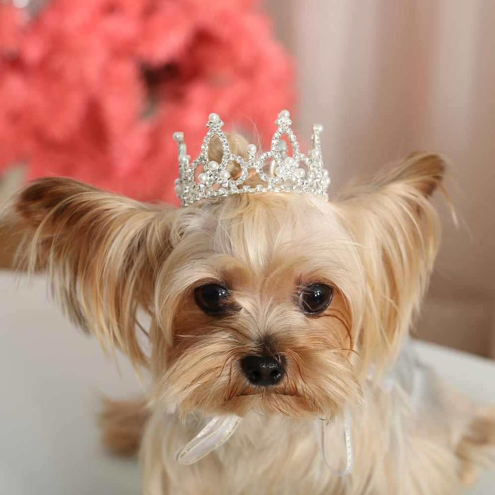 Lovelyshop Pet Series crown front view with rhinestones for photo-worthy moments