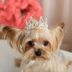Lovelyshop Pet Series crown front view with rhinestones for photo-worthy moments
