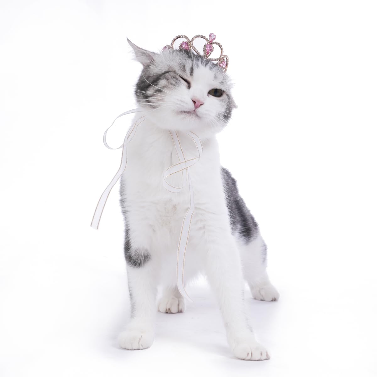 Lovelyshop Pink Gem Gold Pet Crown on head ideal for dress-up photos