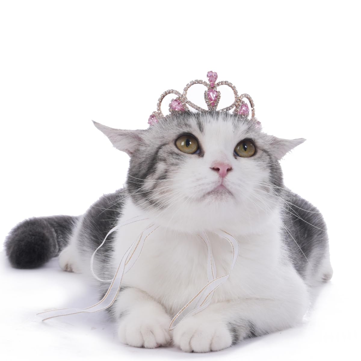 Lovelyshop Pink Gem Gold Pet Crown side view showing secure ribbon fit for small pets