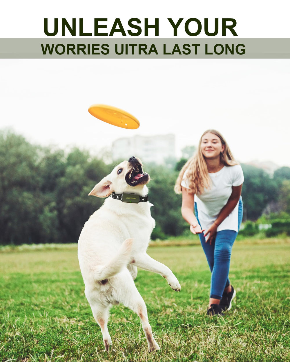 LOVEPETPAL all-dog-sizes-fit design suits small to large breeds
