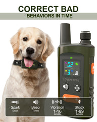 LOVEPETPAL dual-channel receiver supports training two dogs efficiently