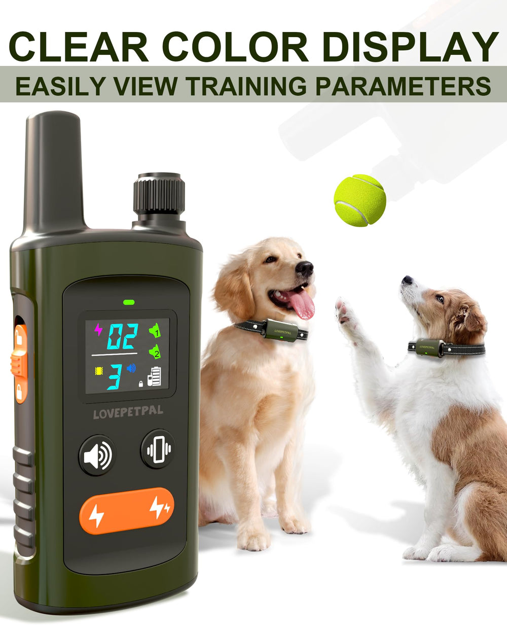 LOVEPETPAL outdoor training scenarios with practical cues and feedback