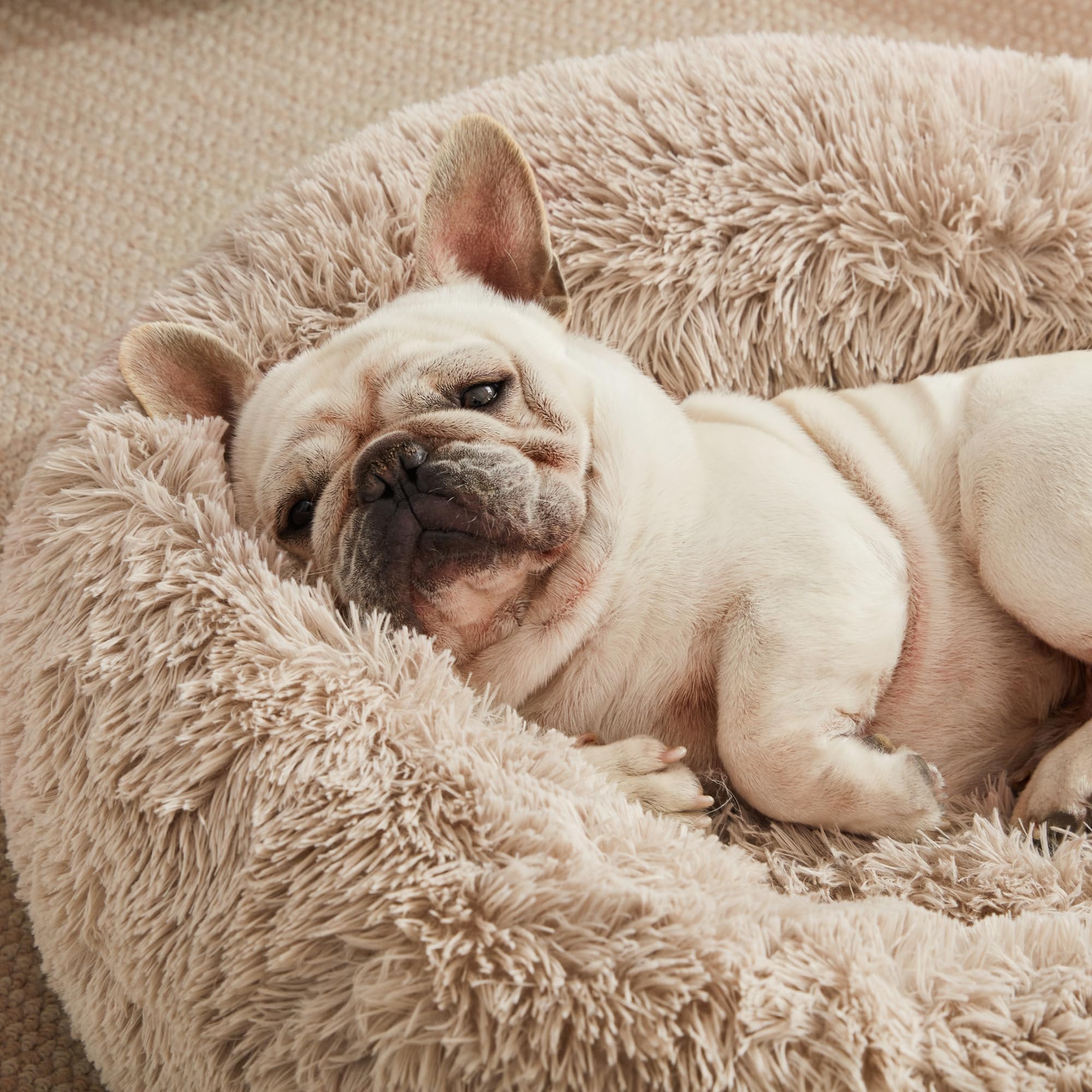 Love's cabin Calming Dog Cat Bed 20x20 size inset for pets up to 15 lbs