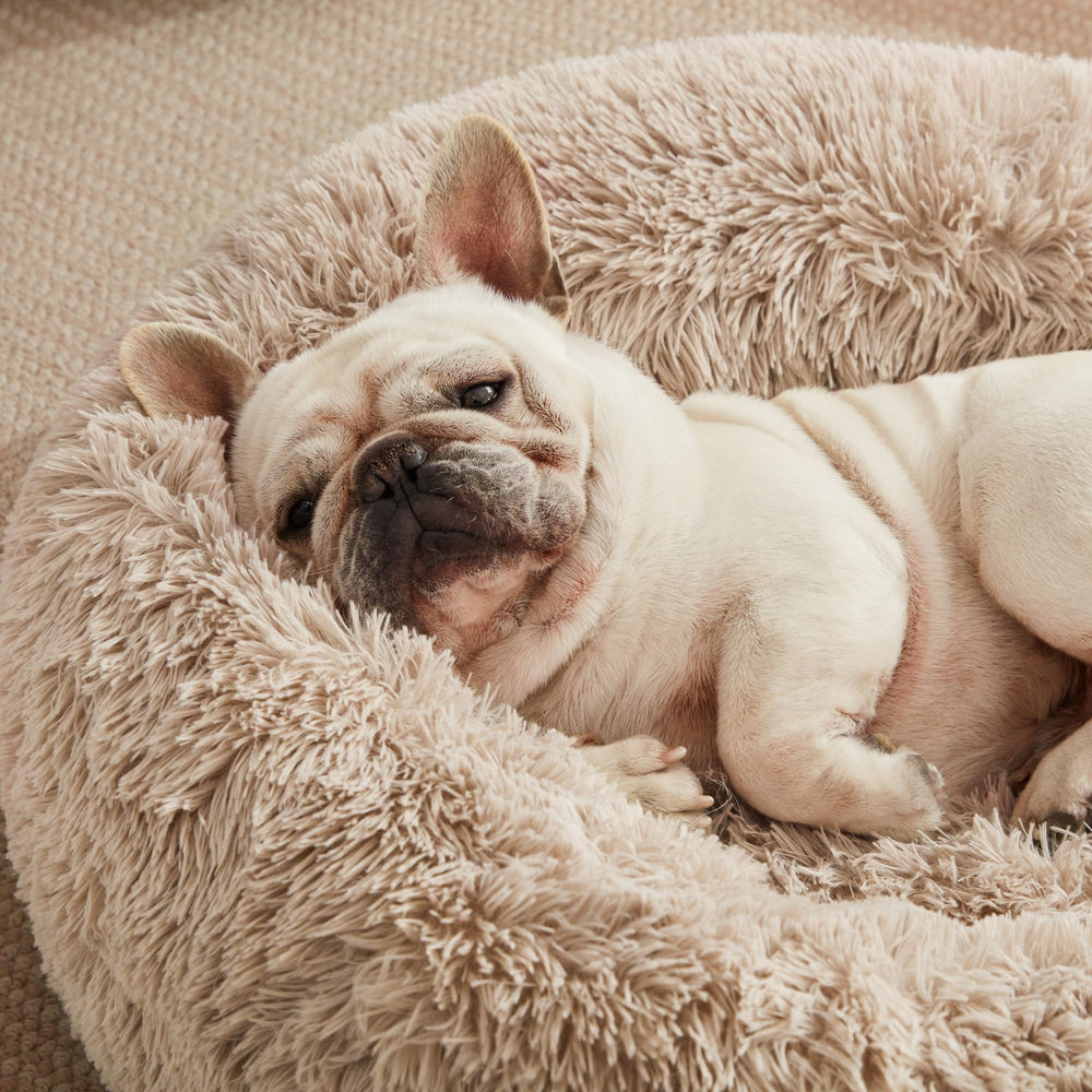 Love's cabin Calming Dog Cat Bed 20x20 size inset for pets up to 15 lbs