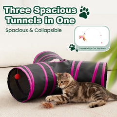 Love's cabin cat tunnel interior view highlights multiple tunnels for exploration.