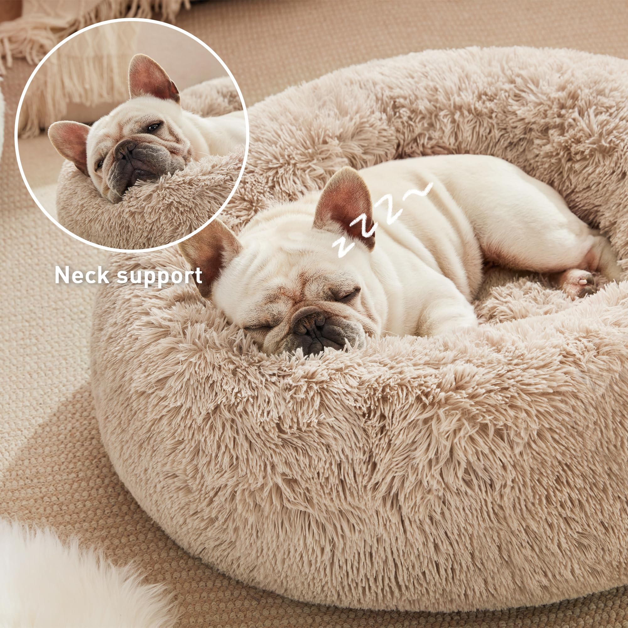 Love's cabin donut bed with rolled rim supports head and creates security.