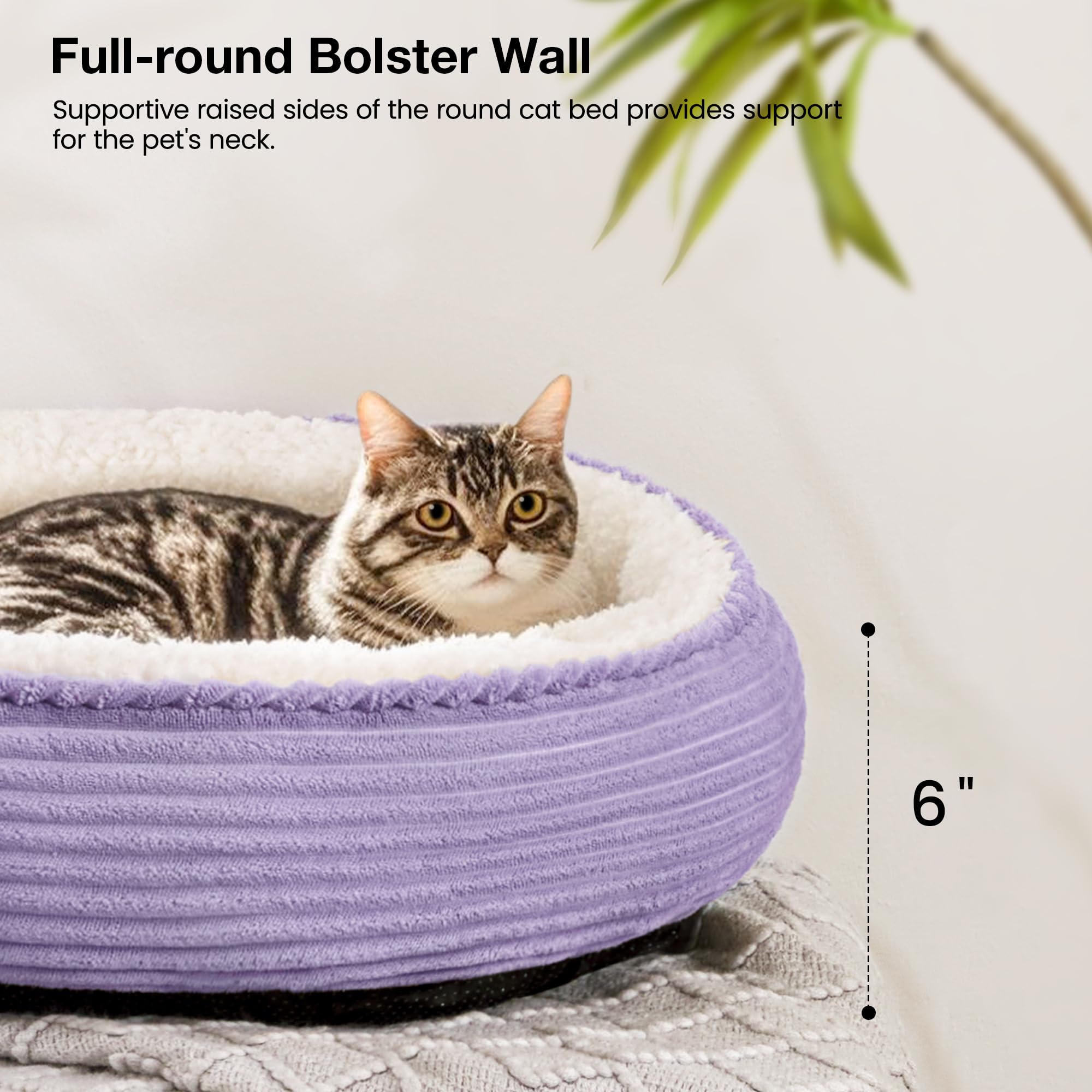 Love's cabin interior-fill detail shows plush cushioning and shape retention.