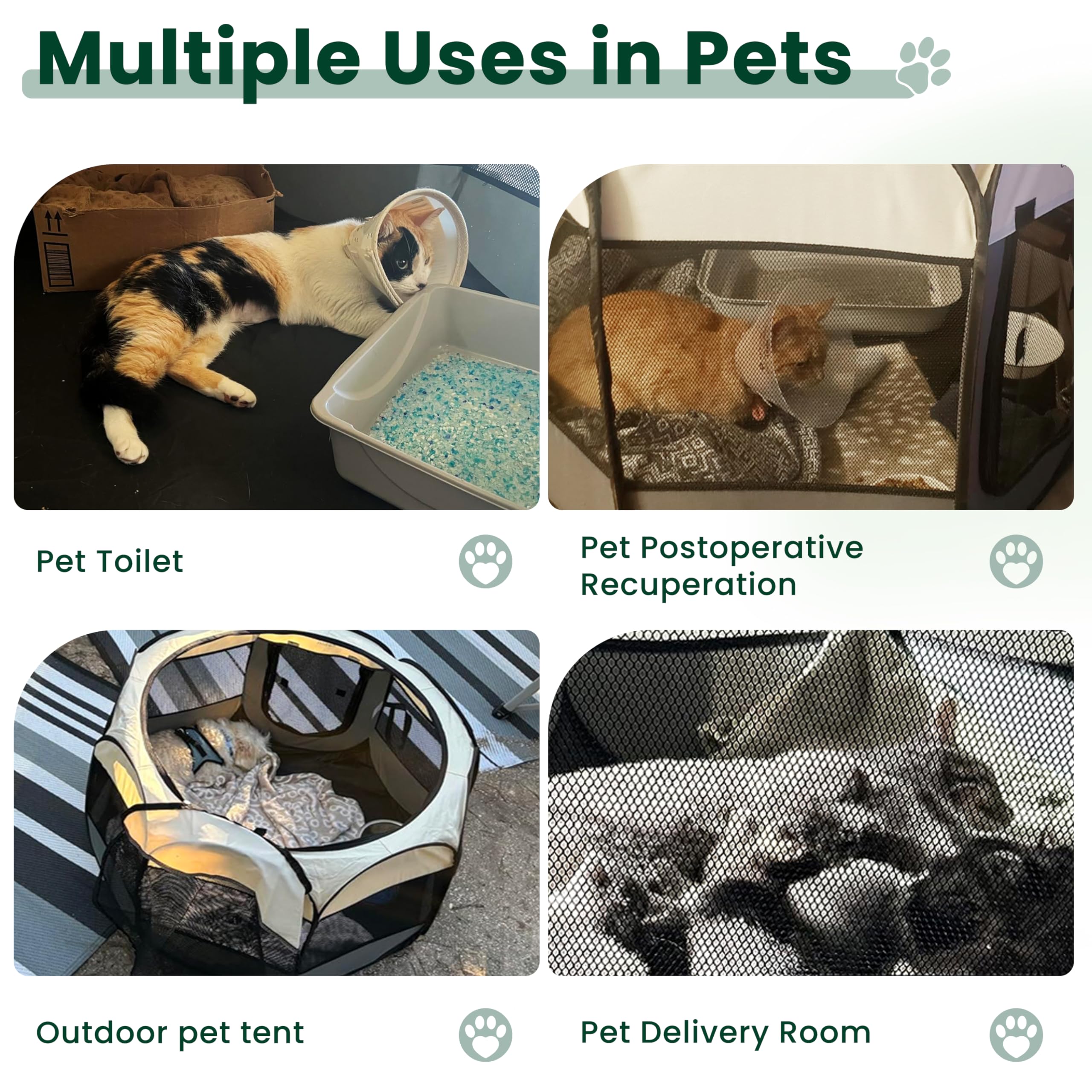 Love's cabin pink door entry highlights easy in/out access.