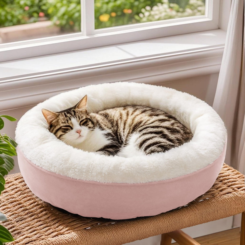 Love's cabin Round Donut Bed 20in size demonstrates ample space for small companions.