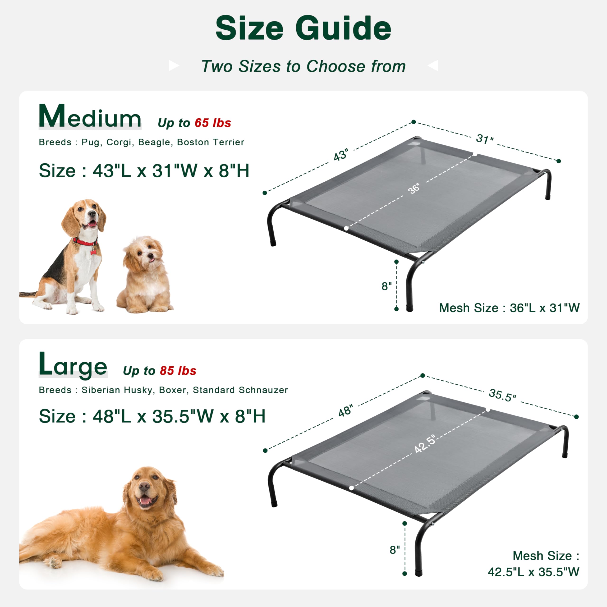 Love's cabin skid-resistant feet keep the elevated bed steady during pets' jumps.