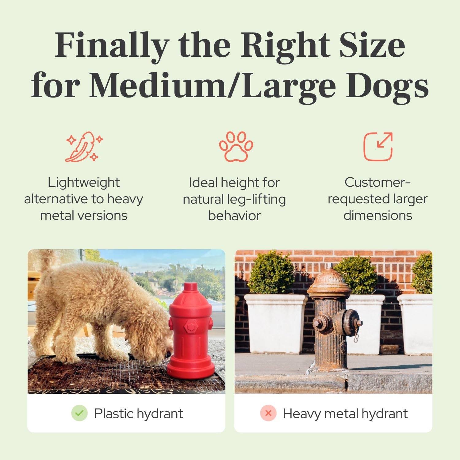 Lovewag Pets mess-free image conveys cleaner rooms with on-target urination.