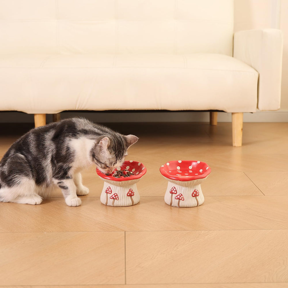 LOVINFURBABY cat-mealtime-dining-setup shows stable, stylish mealtime solution