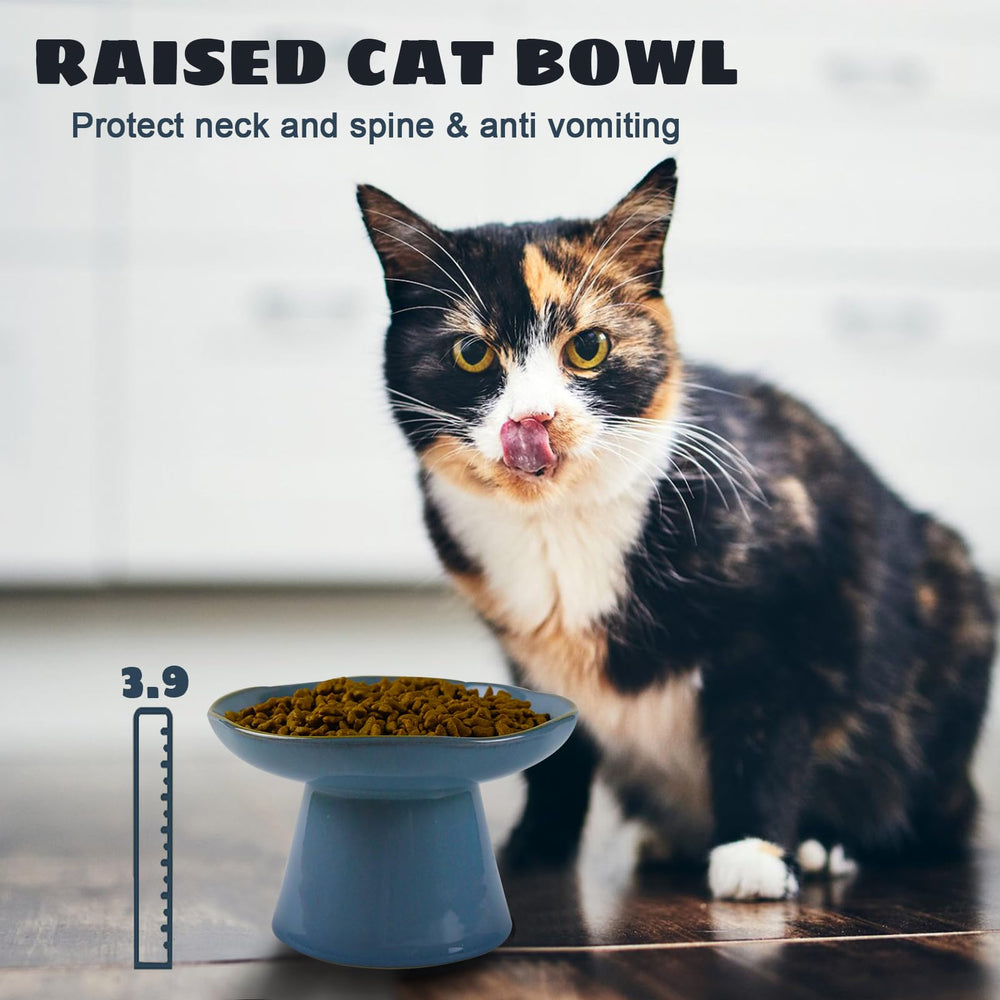 LOVINFURBABY elevated feeder may ease swallowing and reduce occasional vomiting