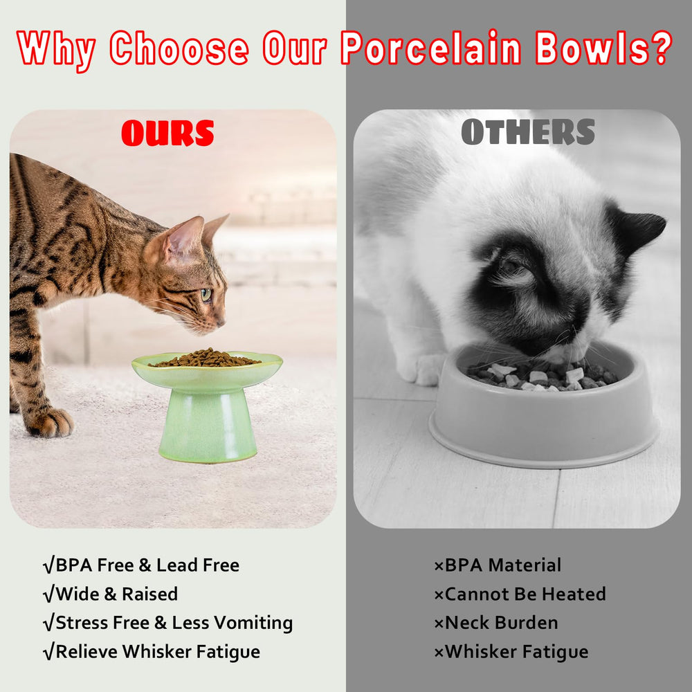 LovinFurBaby smooth glaze aids hygienic, quick cleaning after meals.
