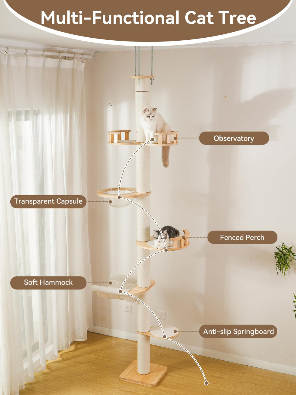 LOVINFURBABY transparent acrylic capsule delivers 360-degree viewing and curious exploration.