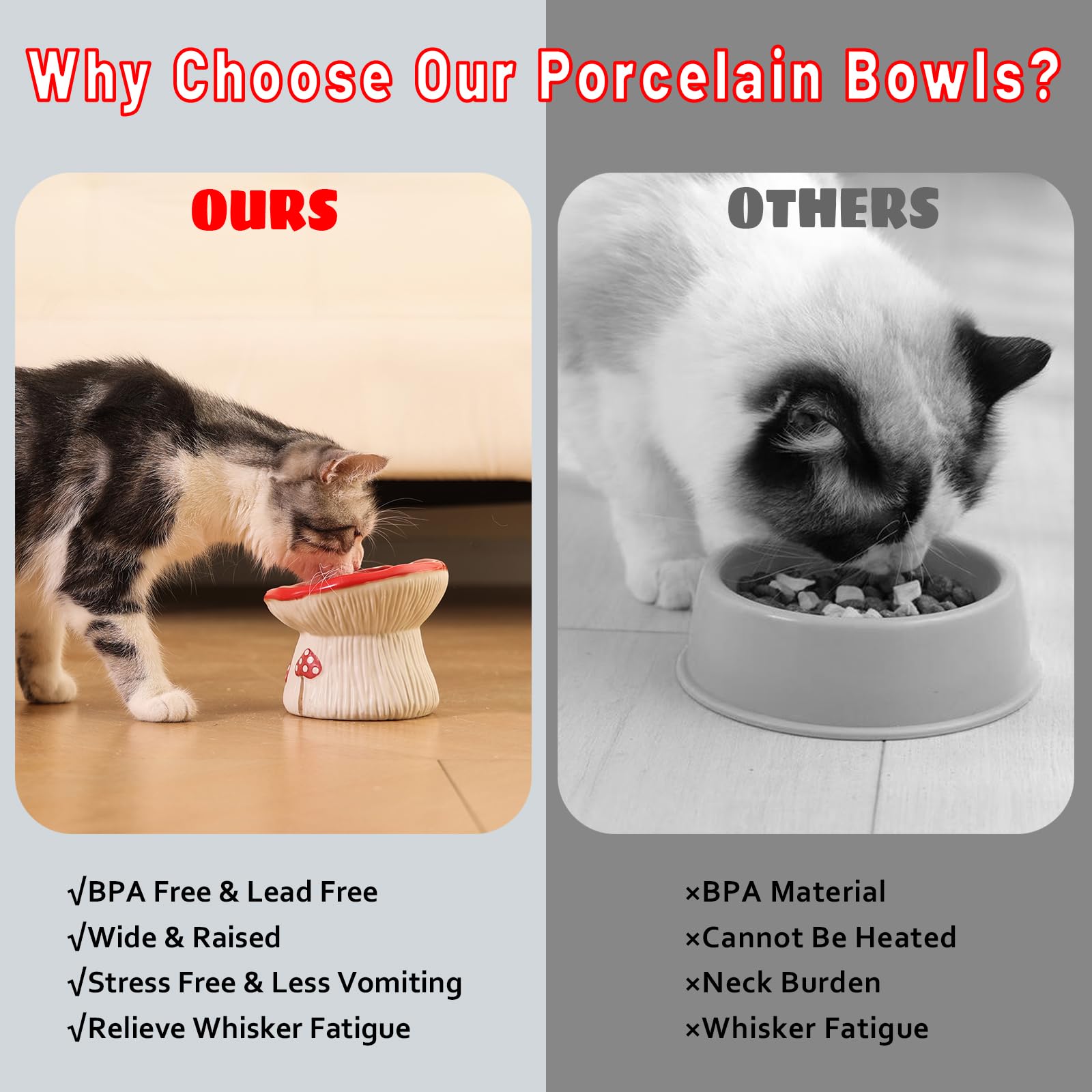 LOVINFURBABY whisker-friendly-shallow-bowl reduces whisker contact during meals