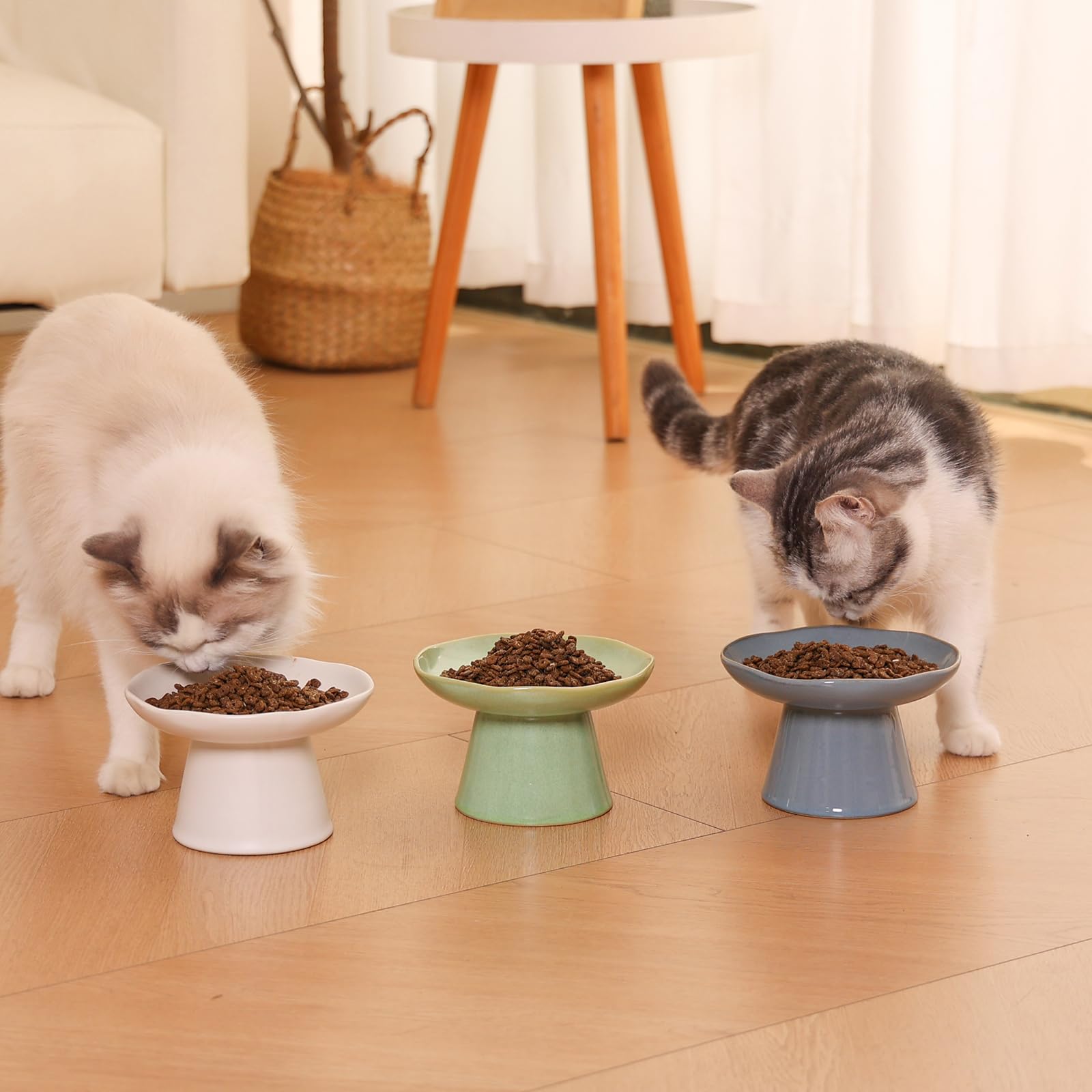 LOVINFURBABY wide shallow bowl suits flat-faced cats during meals