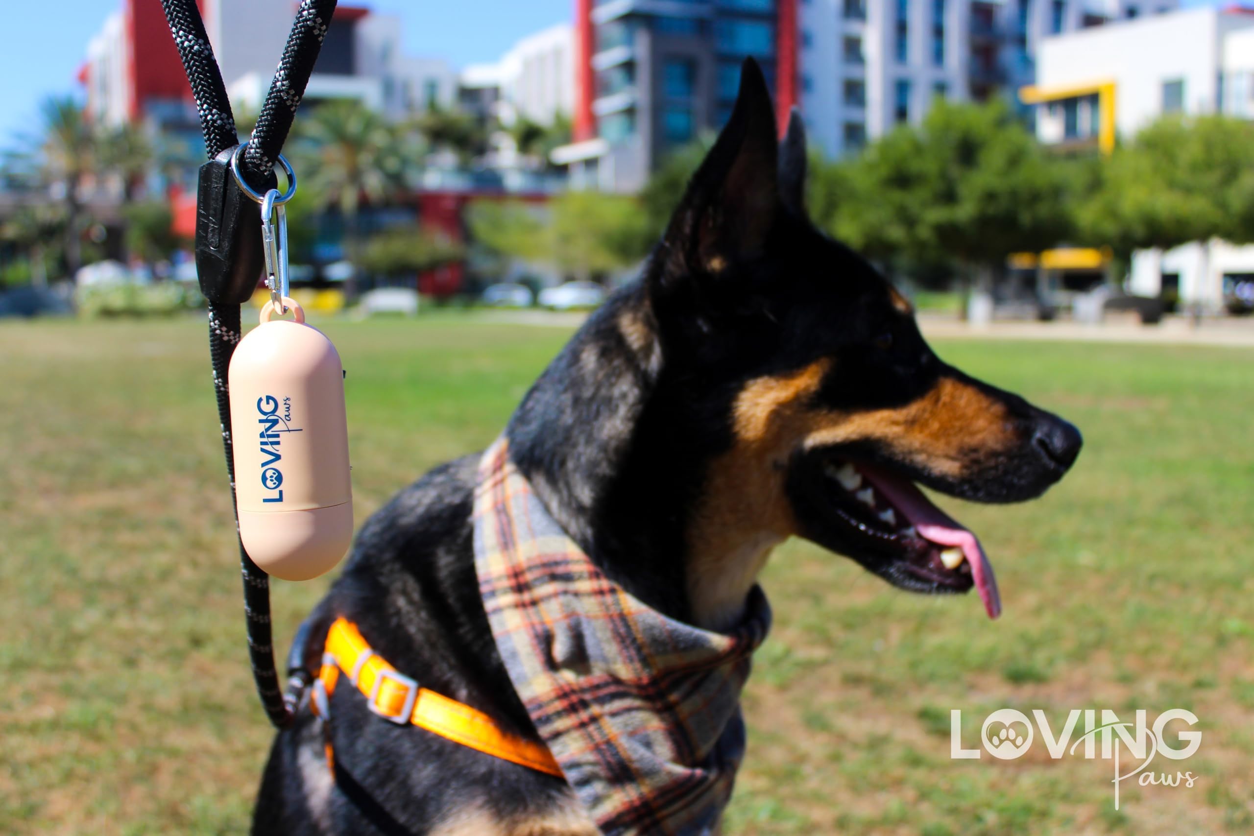LOVING Paws large-dog multipurpose bags suitable for all sizes and trips