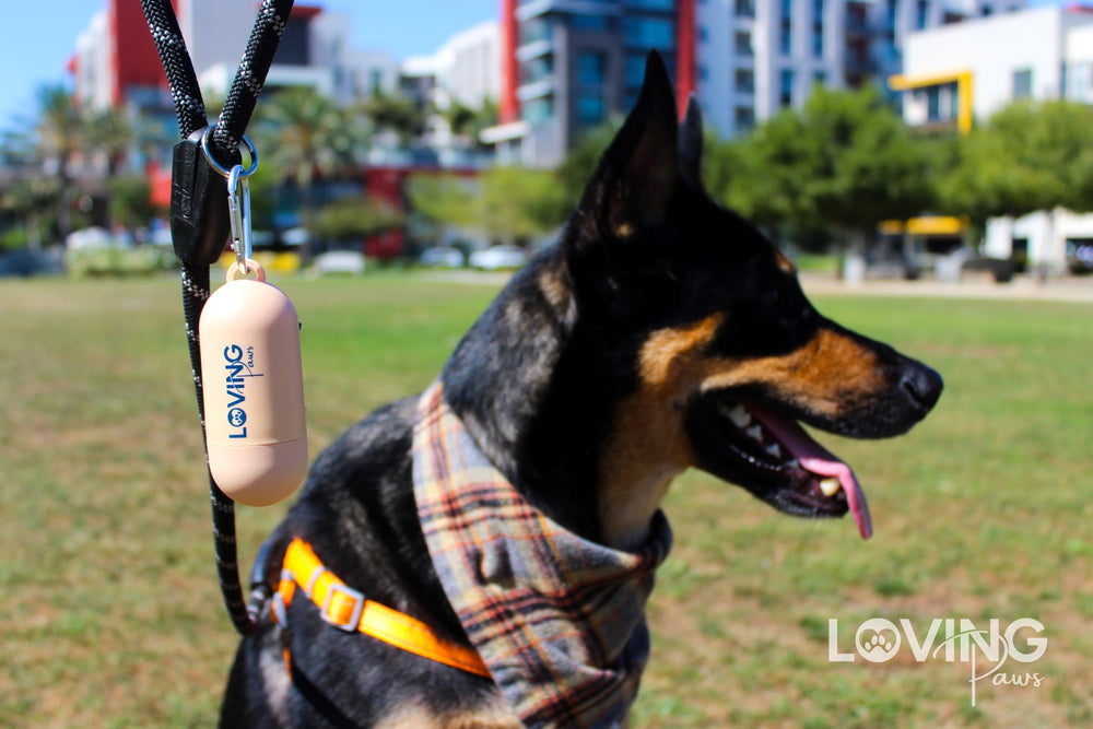 LOVING Paws large-dog multipurpose bags suitable for all sizes and trips
