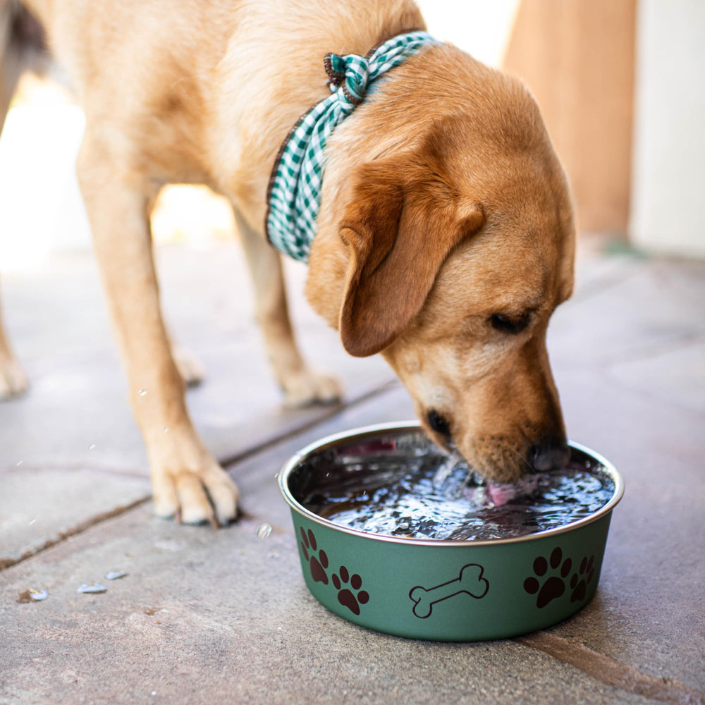 Loving Pets Bella Bowl artichoke rust-resistant exterior complements home decor