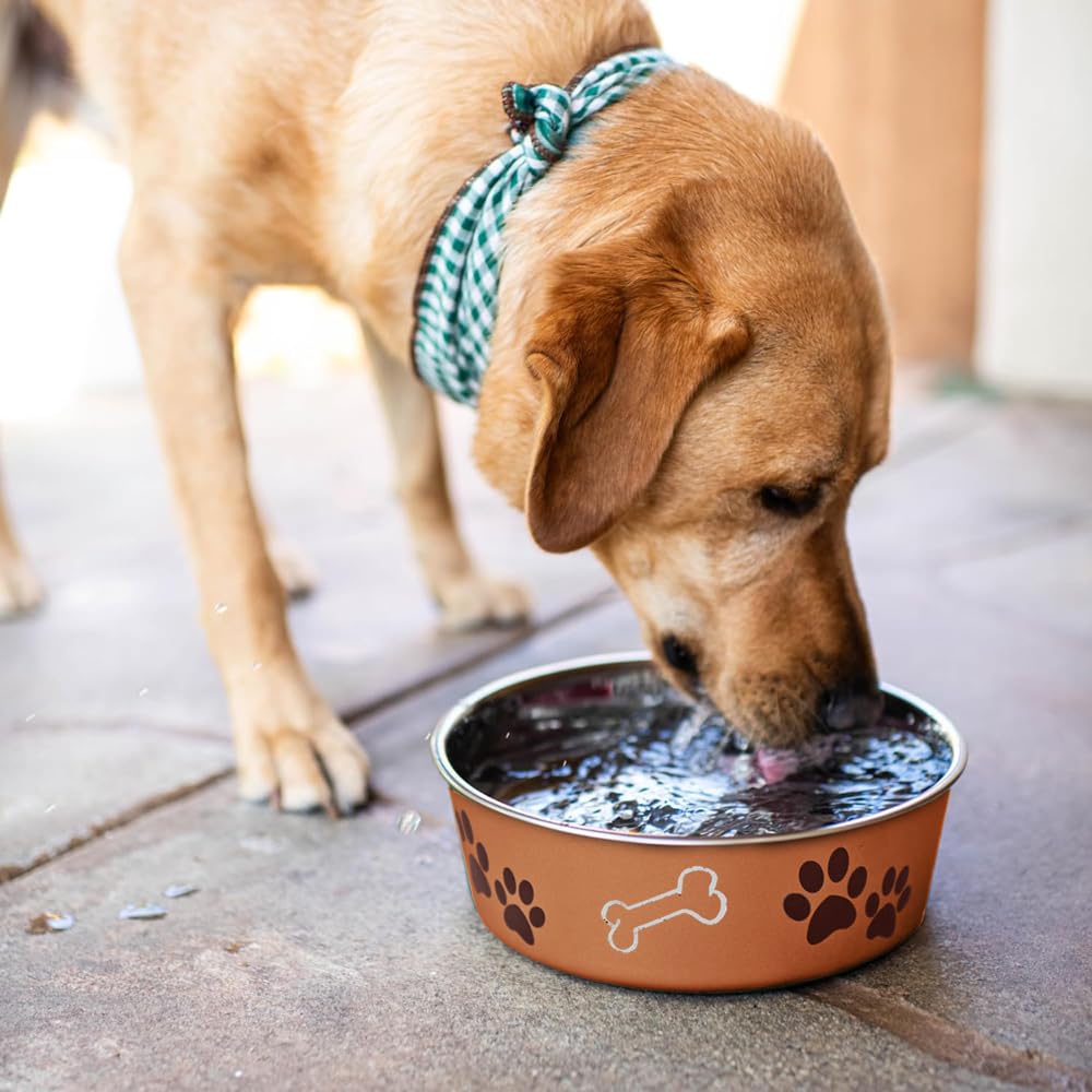 Loving Pets Bella Bowl dishwasher-safe for easy cleanup after meals