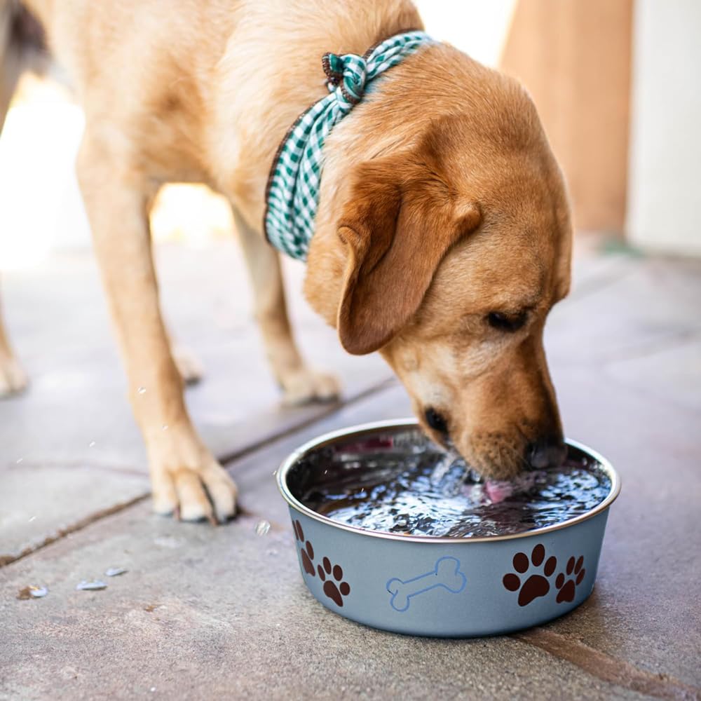 Loving Pets Bella Bowl is dishwasher-safe for quick post-meal cleanup.