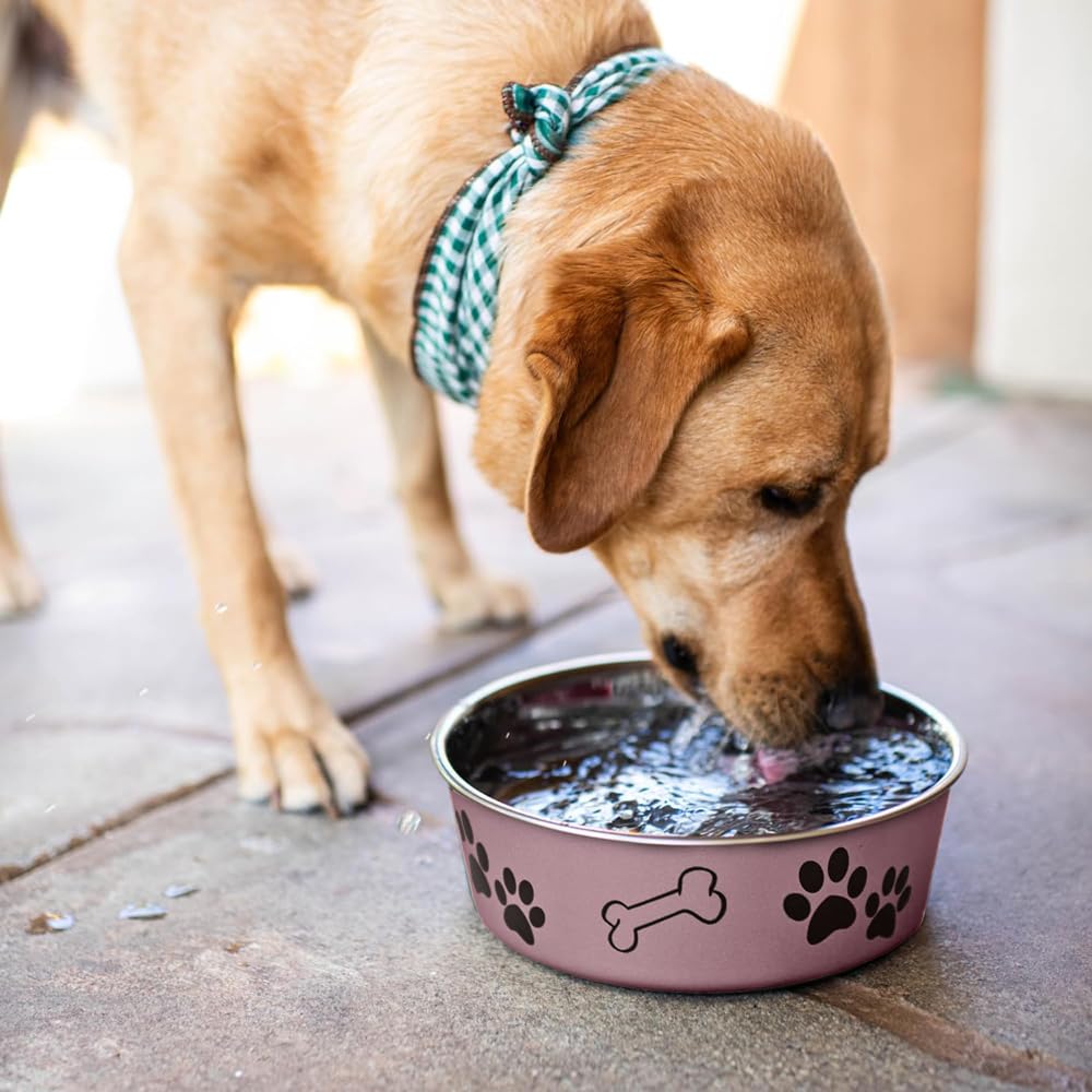 Loving Pets Bella Bowl dishwasher-safe: easy cleaning for busy households.