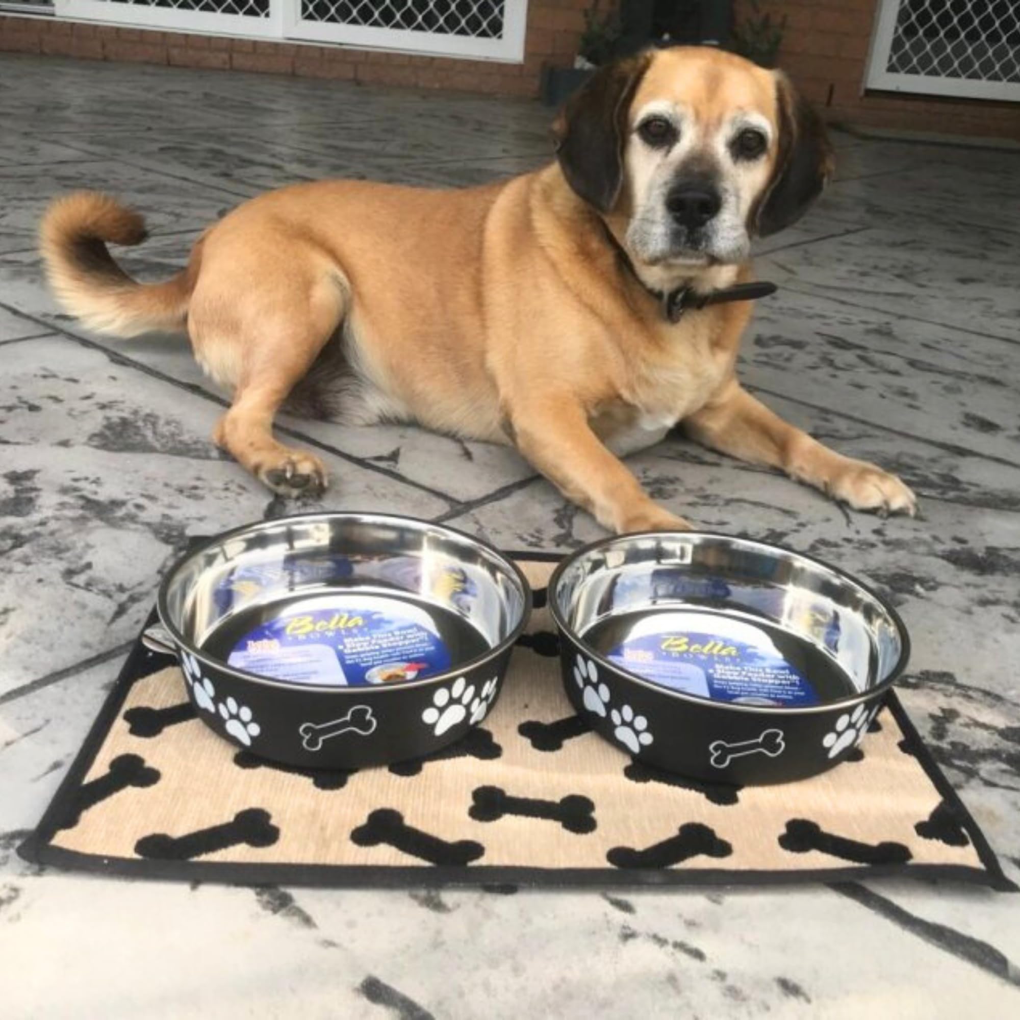 Loving Pets Bella dog bowl available in multiple colors for home decor