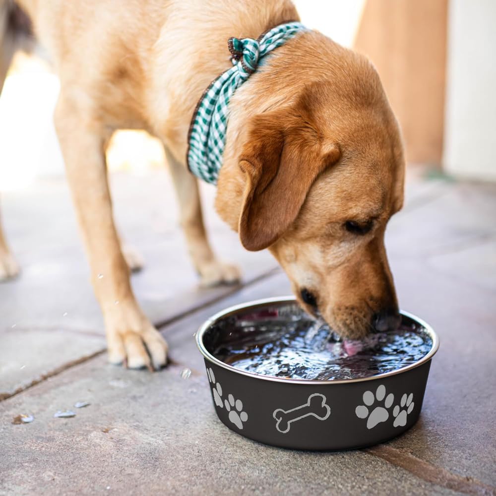 Loving Pets Bella travel-ready bowl for on-the-go meals