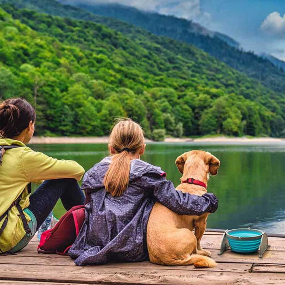 Loving Pets Bella Roma carabiner clip attaches to backpack or leash.