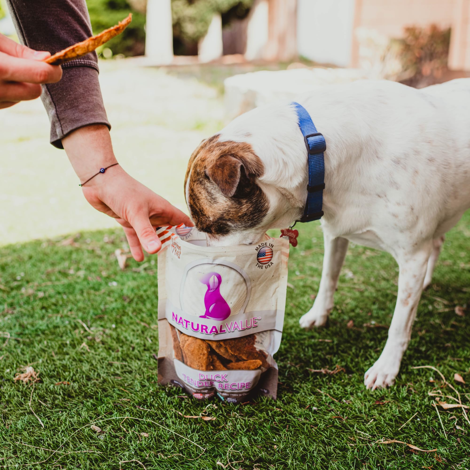 Loving Pets Natural Value duck tenders soft chew during training session.